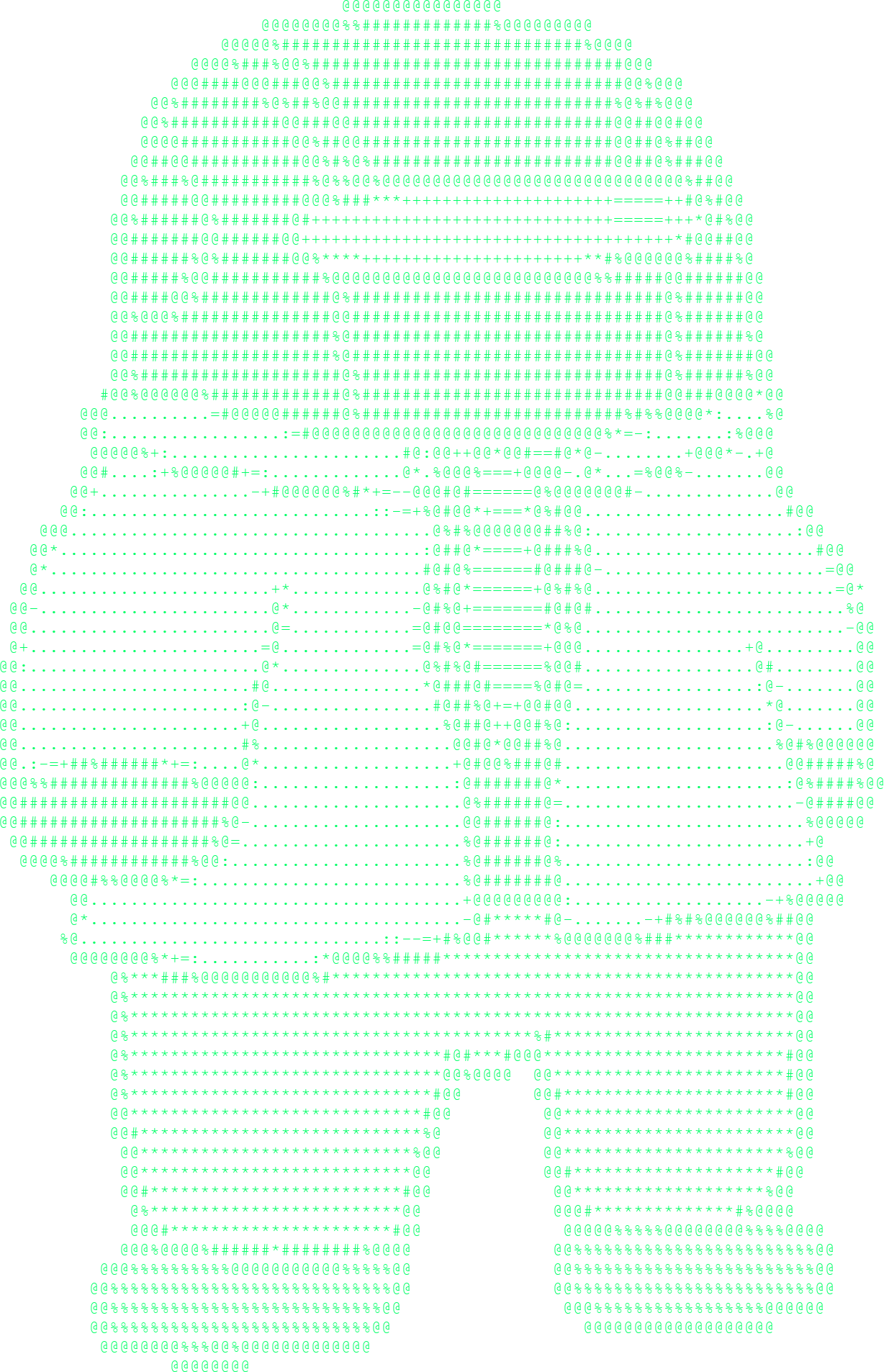 RoboDoc Logo